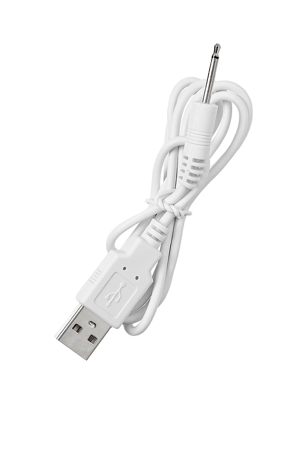 Зарядный кабель LOVENSE для Lush/Lush 2