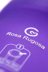 Контейнер для обработки Rosa Rugosa Mini Bar, 24 см