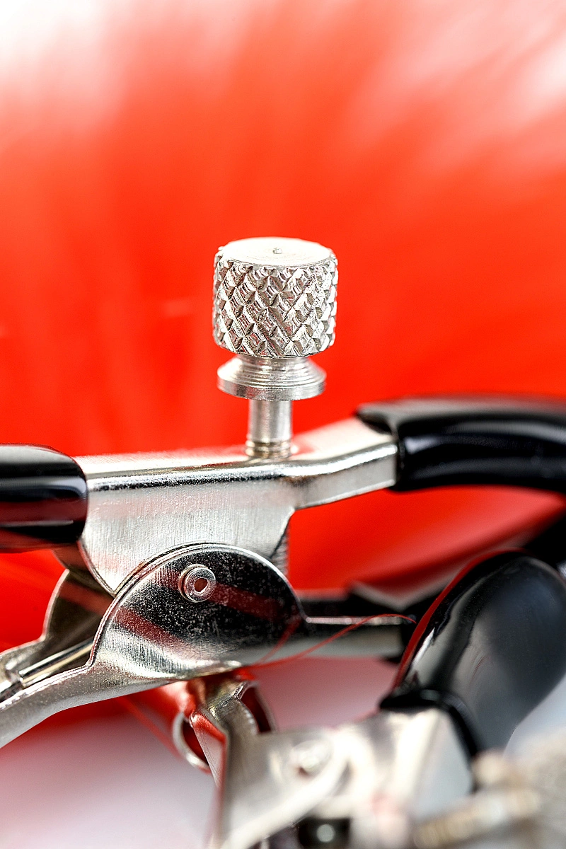 Зажимы для сосков TOYFA Theatre, металл, красный